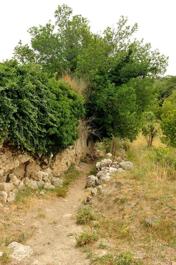 Παραδοσιακό Πέτρινο Καταλημα Guest House Agios Thomas  Exterior foto