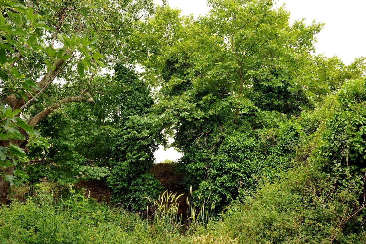 Παραδοσιακό Πέτρινο Καταλημα Guest House Agios Thomas  Exterior foto